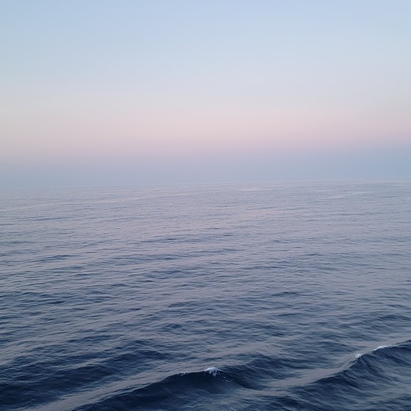 Meet your Posher, Michael - Picture 1 of 1